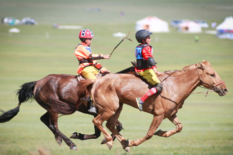 Mongolian Equestrian Heritage Tour